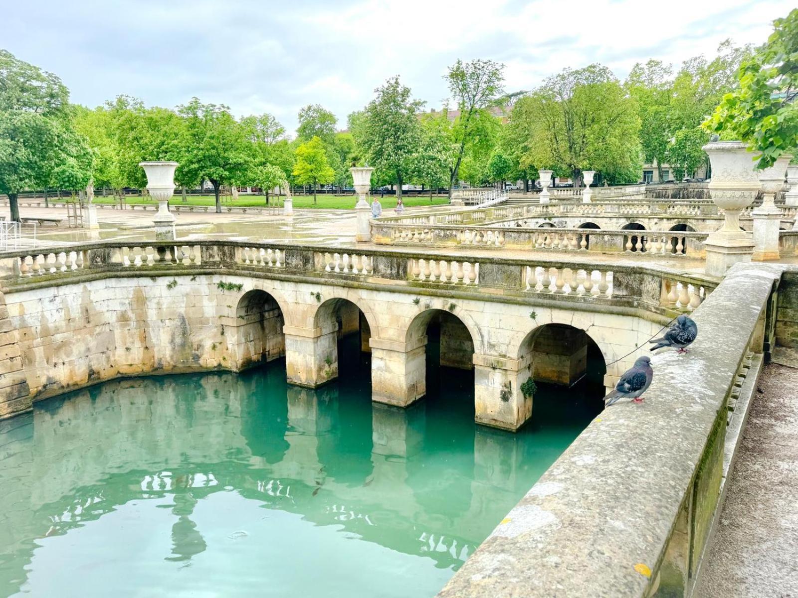 Au Coeur Du Centre Historique - Immeuble Classe - Terrasse - Climatise Nimes Ngoại thất bức ảnh